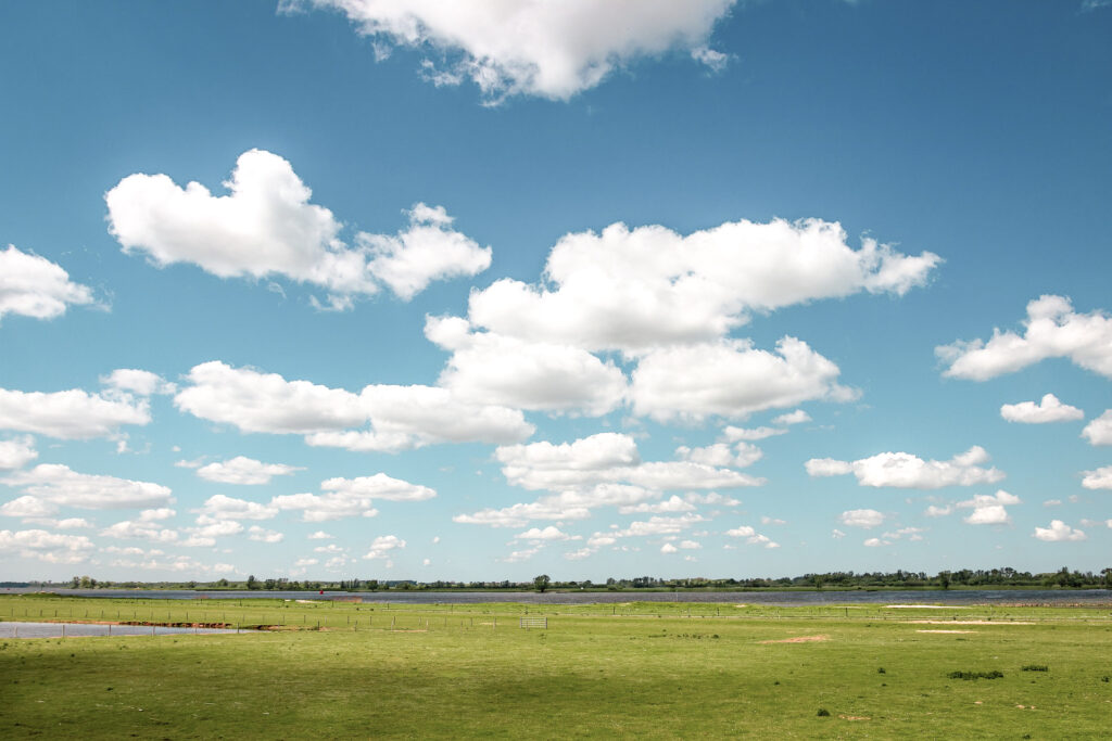 De schitterende natuur in Nederland 