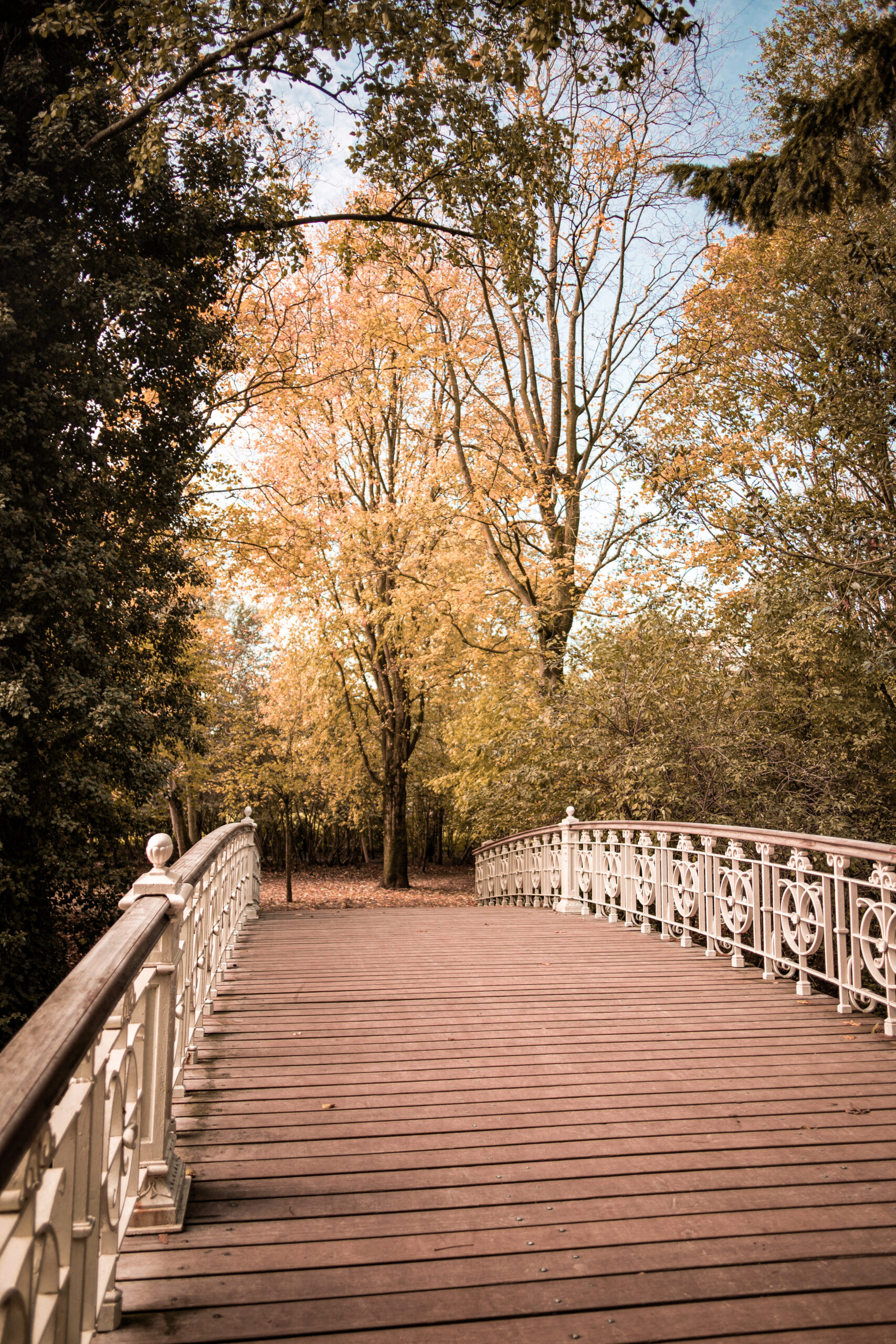 Natuur in Amsterdam in het Vondelpark