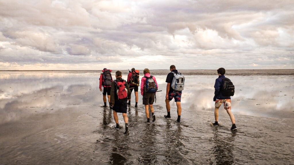 Wadlopen bij Ameland, must do!