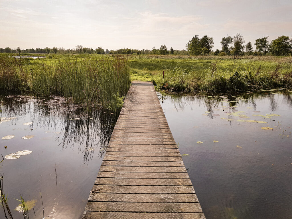 Loopbrug in Nationaal Park de Alde Feanen