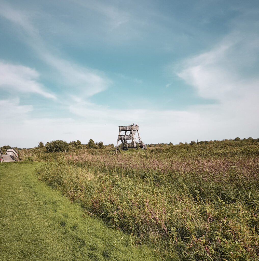 Uitzicht uitkijktoren Eernewoude