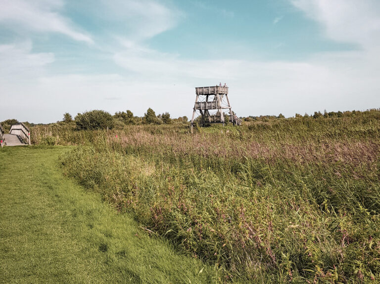 Lees meer over het artikel Nationaal Park de Alde Feanen: 7 leuke dingen om te doen