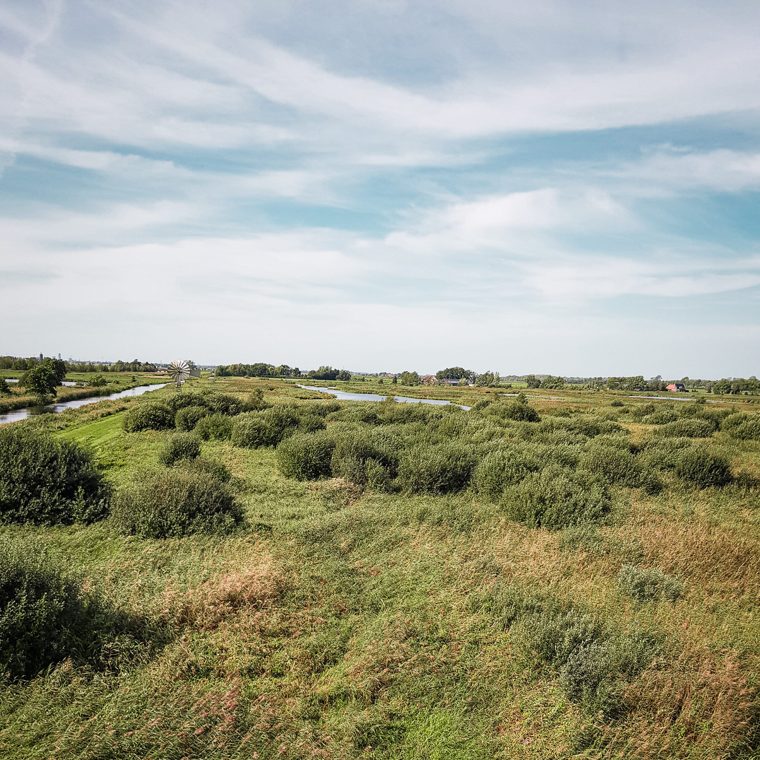 Uitzicht vanaf de uitkijktoren in de Janddurkspolder