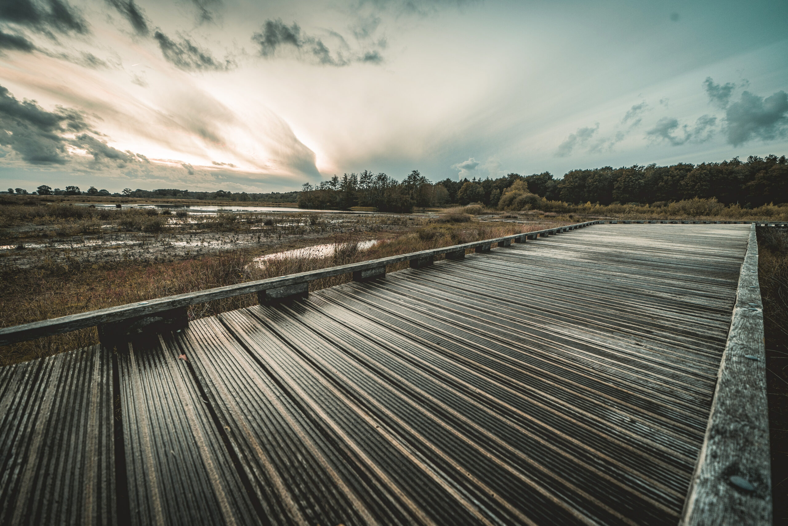 Avondwandeling Nationaal Park Dwingelderveld