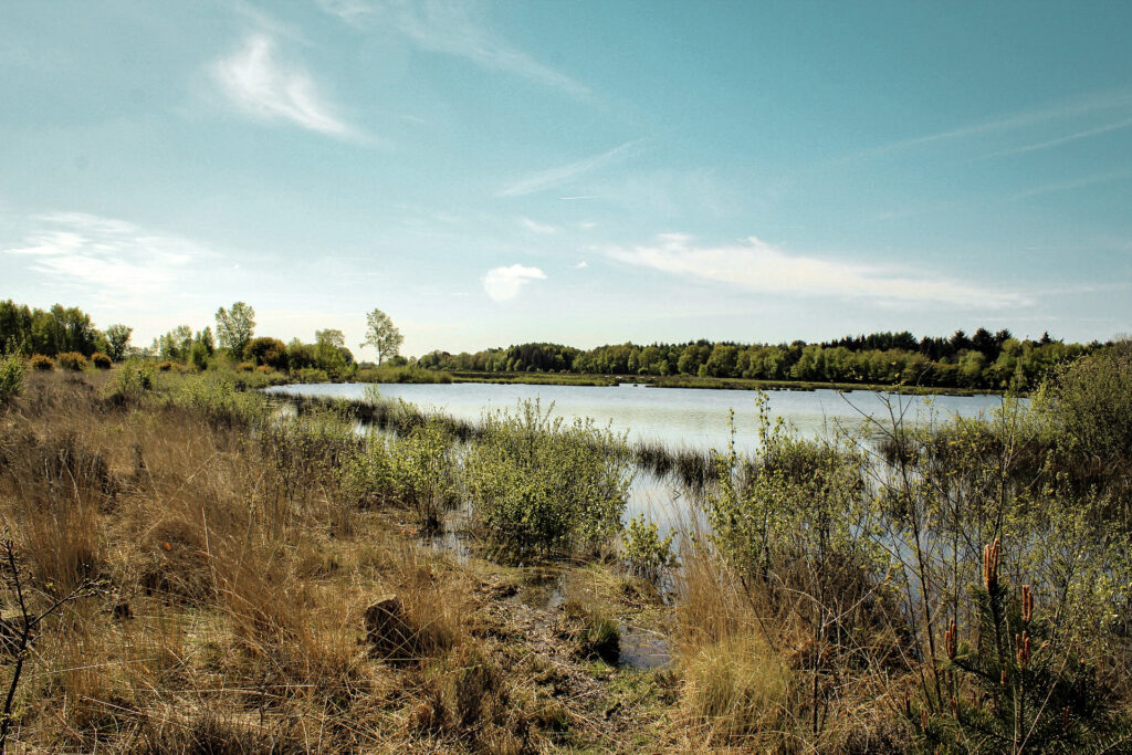 Uitzicht in Dwingelderveld