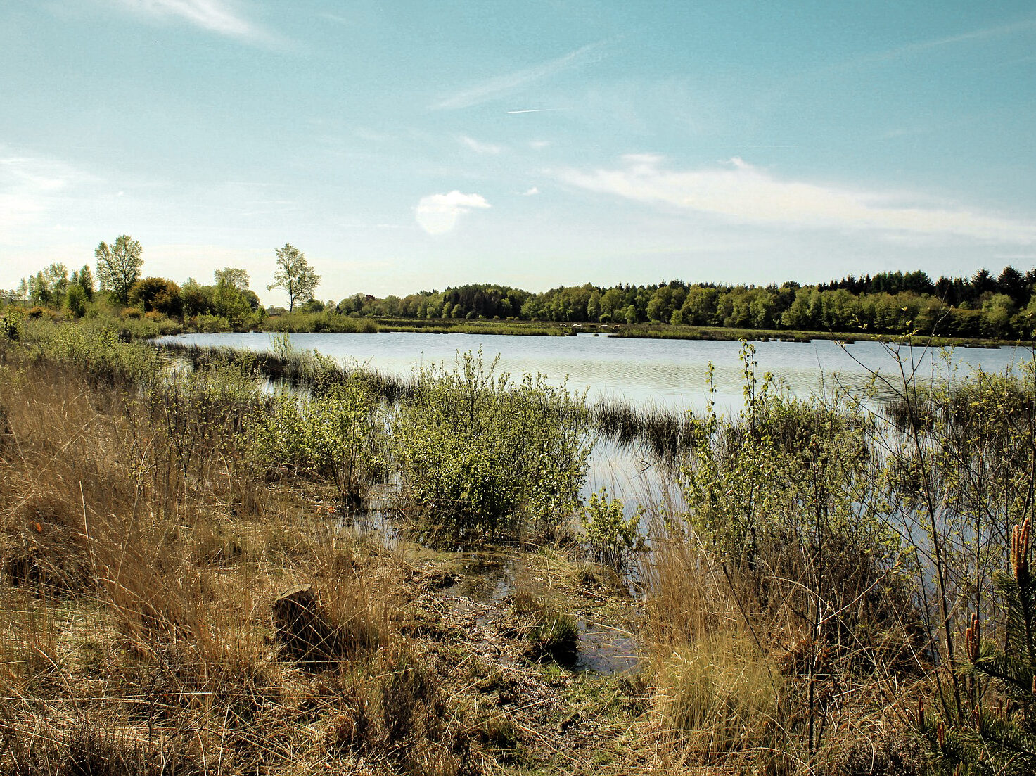 Lees meer over het artikel Doen in Nationaal Park Dwingelderveld: 8 tips voor een dagje weg