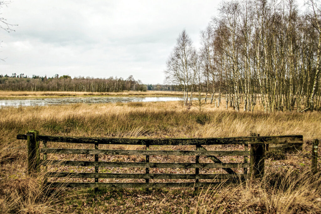 Uitzicht tijdens wandeling door het Nationale Park Drentsche Aa