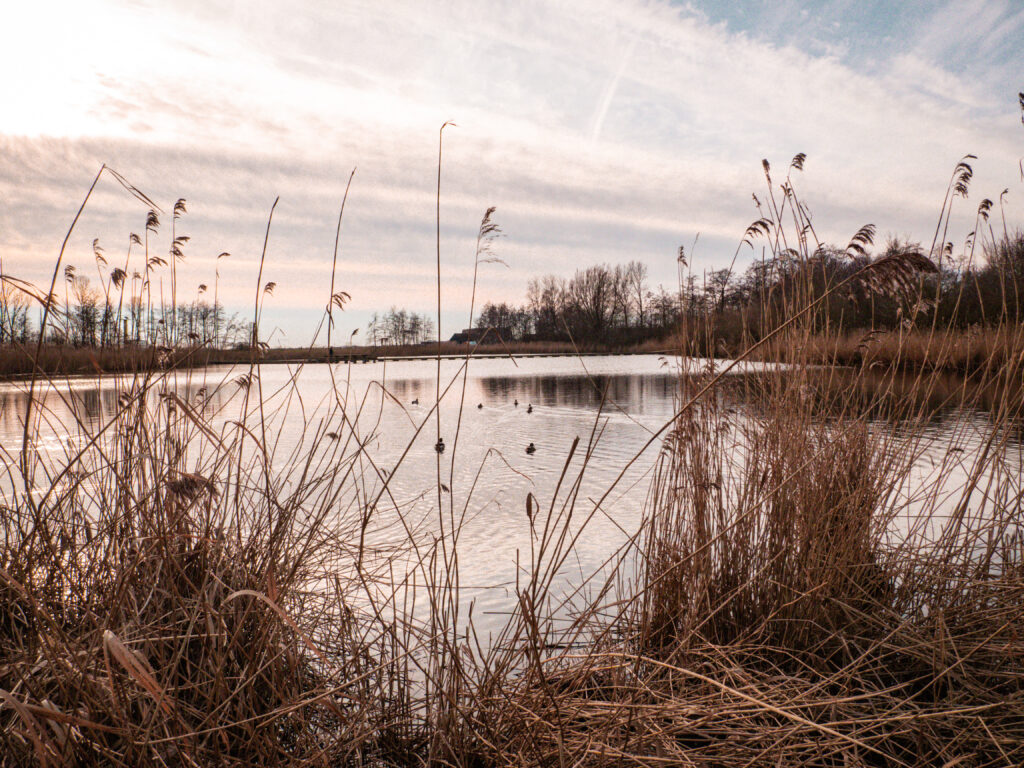 Wandeling door Nationaal Park Lauwersmeer