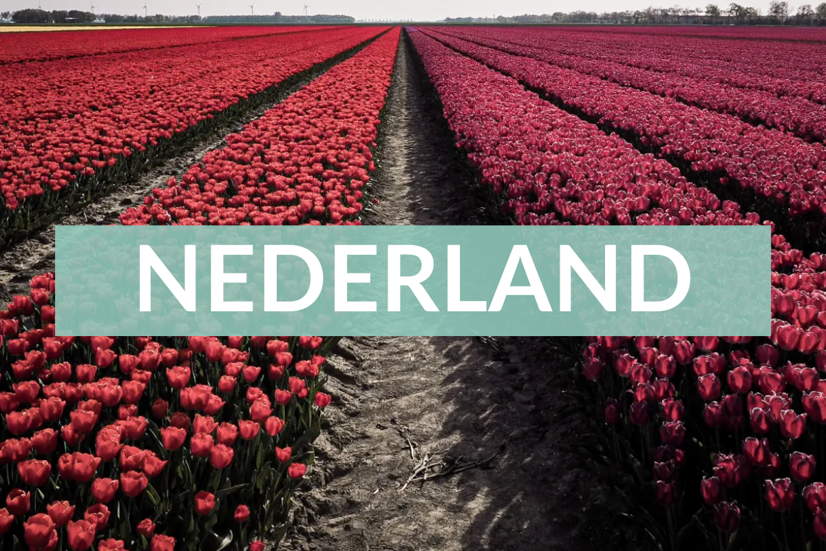 Bestemming Nederland