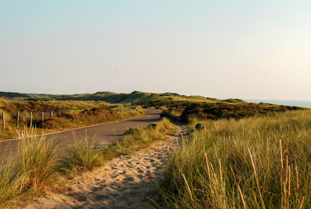 Genieten van de prachtige natuur op Texel 